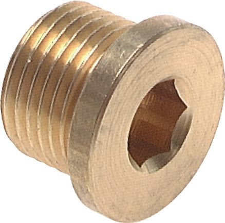 Exemplary representation: Closing plug with hexagon socket, cylindrical thread, brass